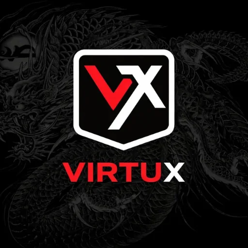 Логотип сервера Virtux